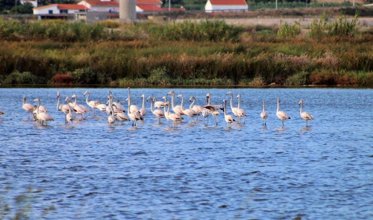 Stella di Mare - Alojamento Local Figueira da Foz Esterno foto